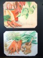 Des carottes 38 x 30 chaque